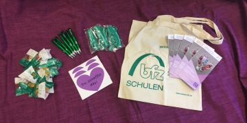 Newsbild_Schweinfurter_Berufsinformationstag