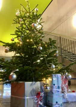 Weihnachtsbaum Pflegeschulen Bad Kissingen